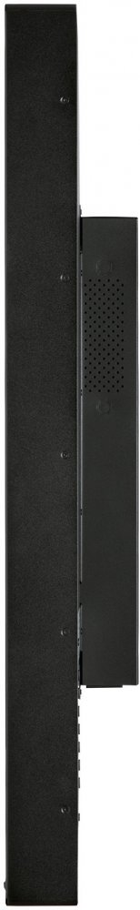 Монитор Iiyama 55" ProLite TH5564MIS-B2AG