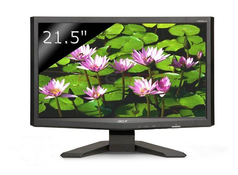 Acer 22" X223HQb