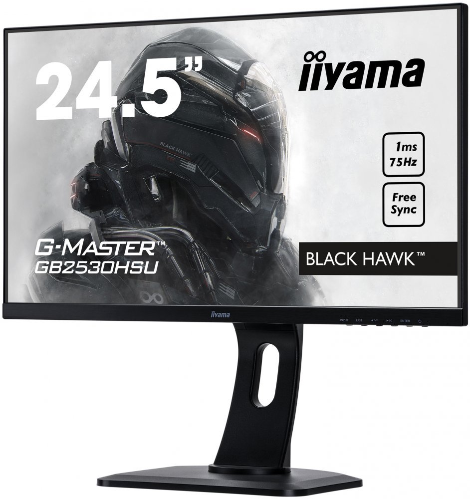 Монитор Iiyama 25" G-Master GB2530HSU-B1 Black Hawk