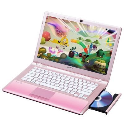Sony VAIO VPC-CW2S1R/P