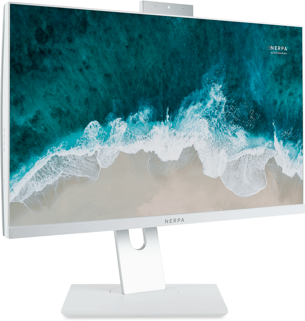 Моноблок Nerpa Saimaa 23.8 FS (I110-6900HW0812800W)