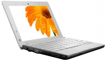 Ноутбук Lenovo IdeaPad S100 (59-315237)