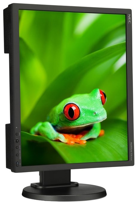 Монитор NEC 19" MultiSync EA192M Black