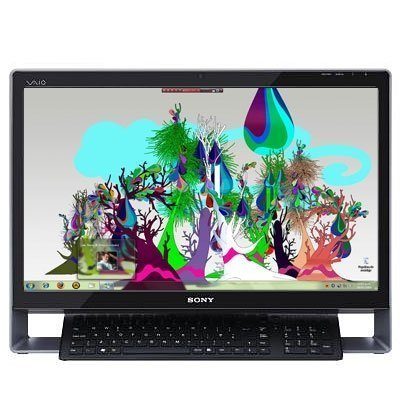 Моноблок  Sony VAIO VPC-L14M1R/B
