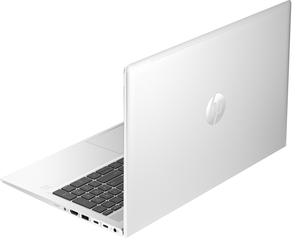 Ноутбук HP ProBook 450 G10 (85D05EA)