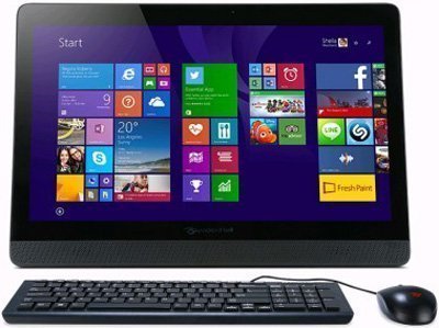 Моноблок Packard Bell oneTwo S3380 (DQ.U91ER.004)