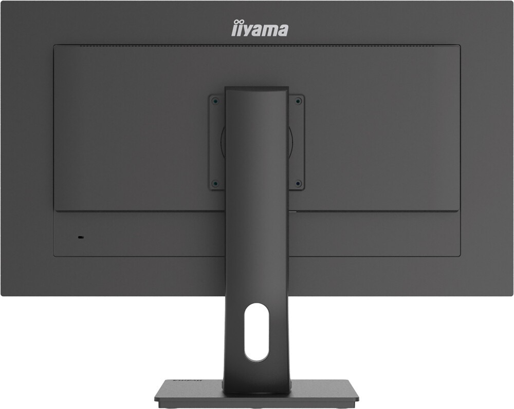 Монитор Iiyama 28" ProLite XUB2893UHSU-B1