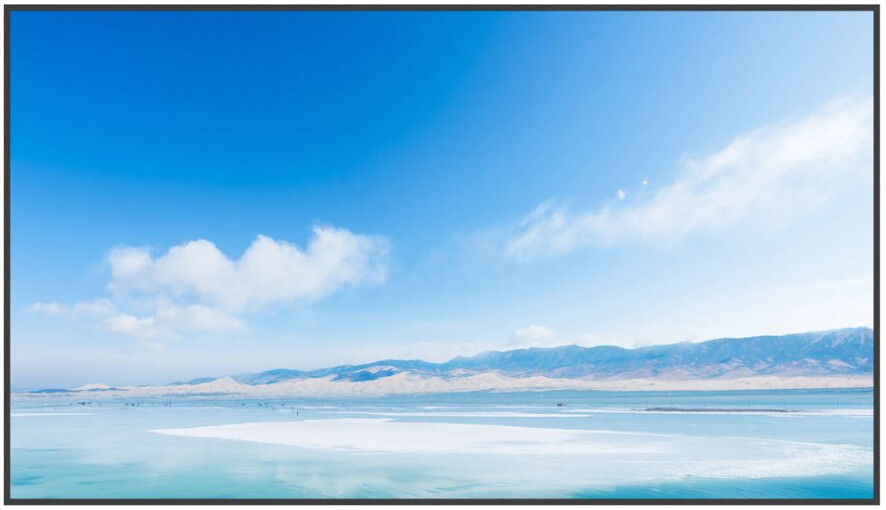 ЖК панель Exell 55" EXPD-DA55AM5