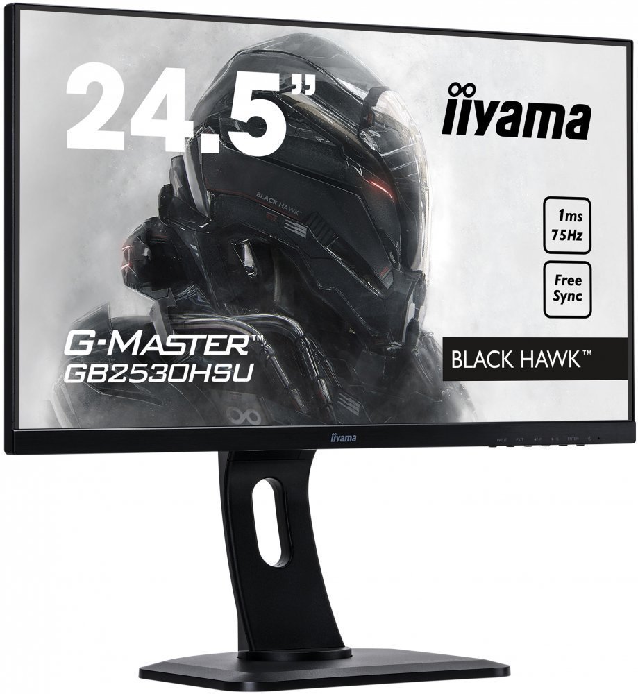 Монитор Iiyama 25" G-Master GB2530HSU-B1 Black Hawk