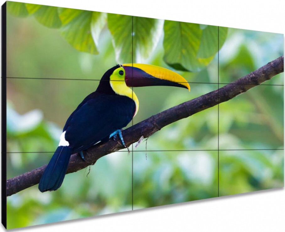 ЖК панель Exell 55" EXPD-WA55AB05