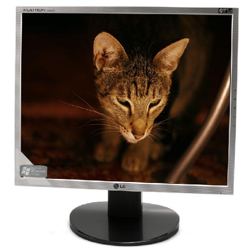 LG 19" Flatron L1953S Silver