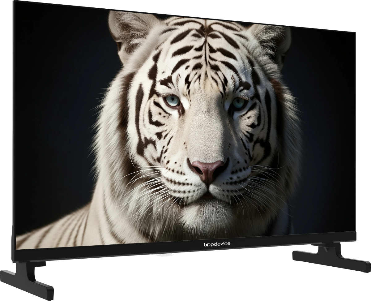 ЖК телевизор TopDevice 24" TDWC24BH5260V Black
