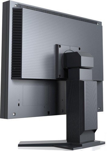 Монитор EIZO 21" FlexScan S2133 Black