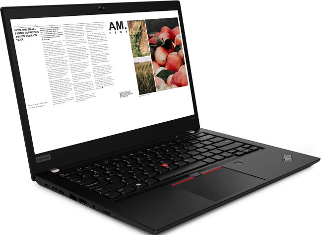 Ноутбук Lenovo ThinkPad T490 (20N20048RT)
