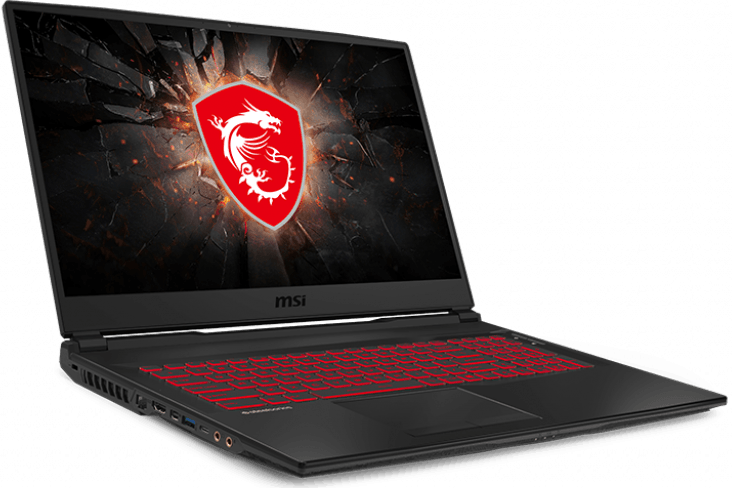 Ноутбук MSI GL75 (10SCSR-019X)