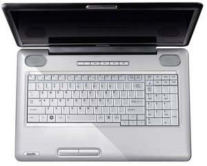 Toshiba Satellite L450-12G