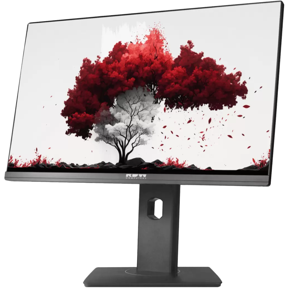 Монитор RDW Computers 24" RDW2402K (F00B3)