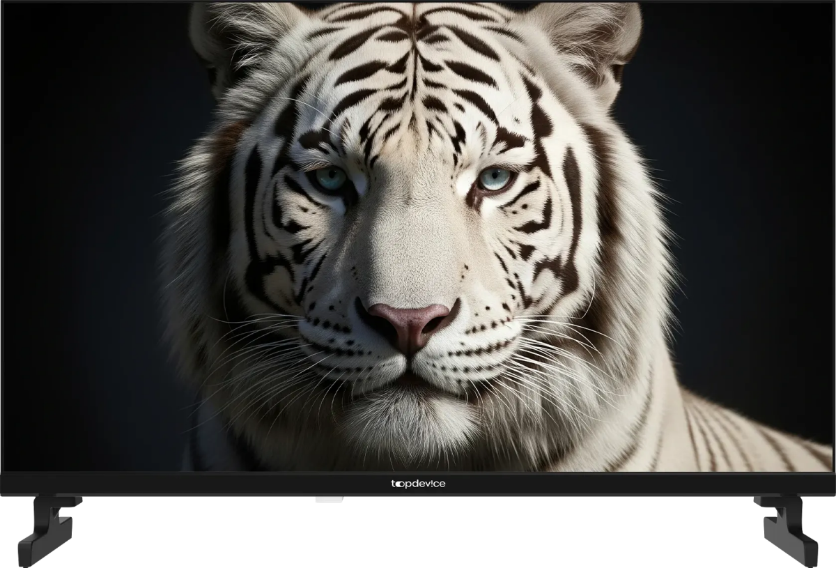 ЖК телевизор TopDevice 24" TDWC24BH5260V Black