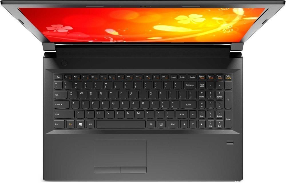 Ноутбук Lenovo IdeaPad B5045 (59-441427)