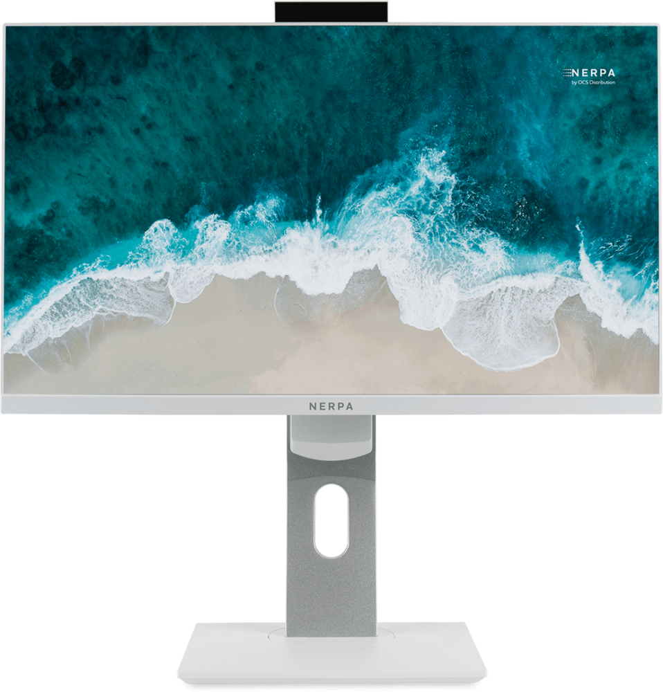 Моноблок Nerpa Saimaa 23.8 FS (I110-6900HW0812800W)