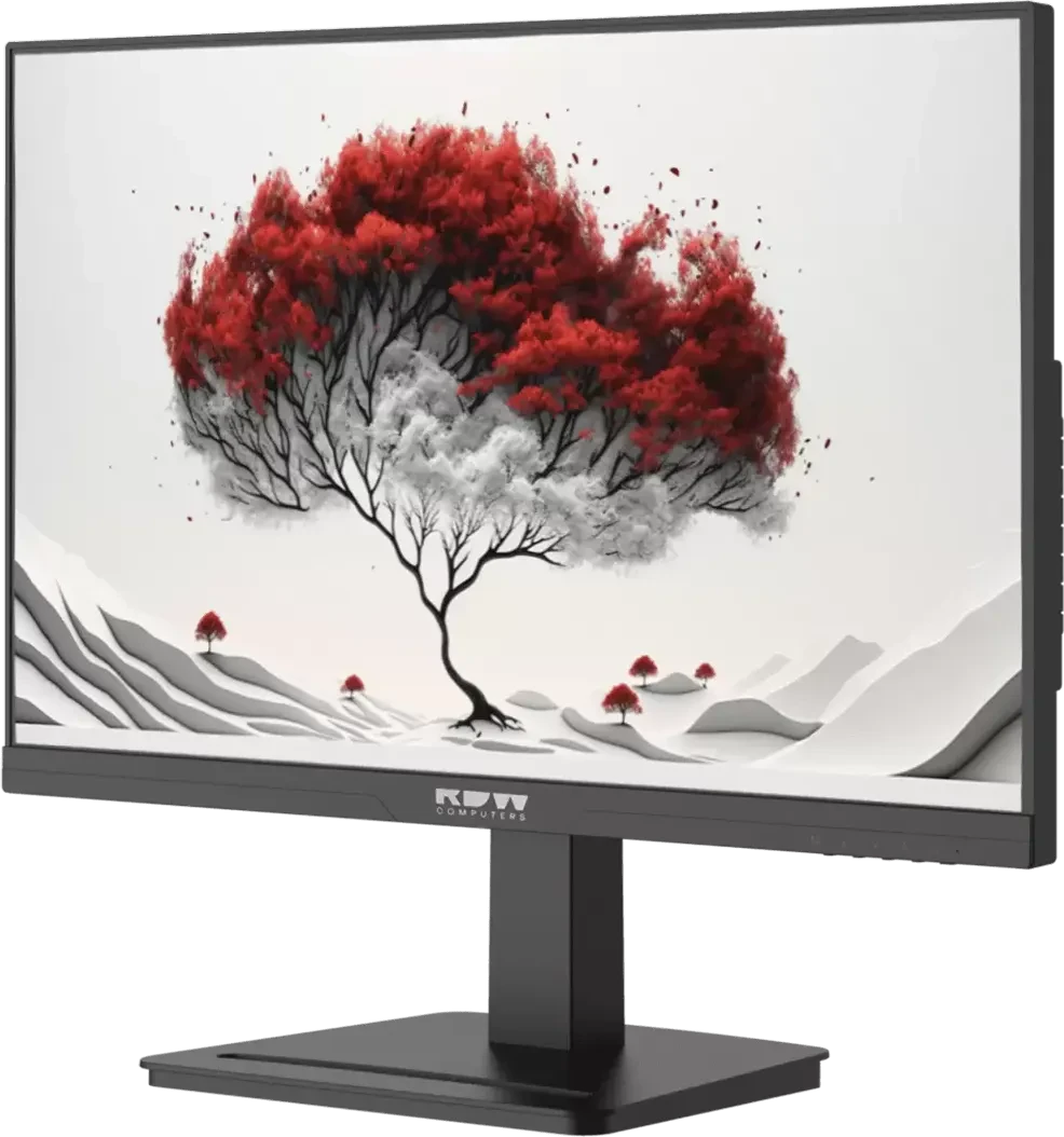 Монитор RDW Computers 24" 2401K (F00B3120V2A1)