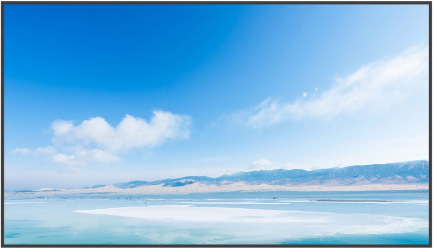 ЖК панель Exell 65" EXPD-DA65AM5