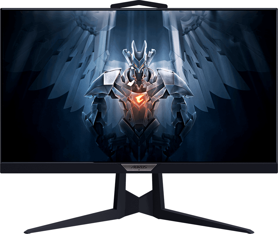 Монитор Gigabyte 25" Aorus FI25F