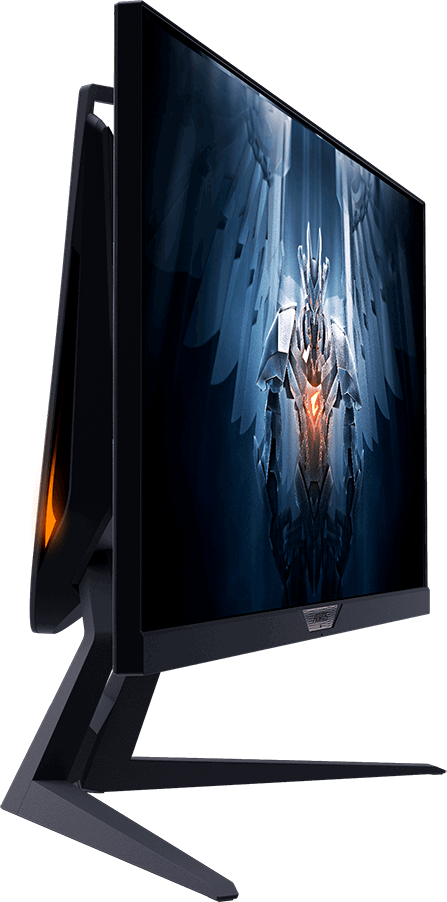 Монитор Gigabyte 25" Aorus FI25F