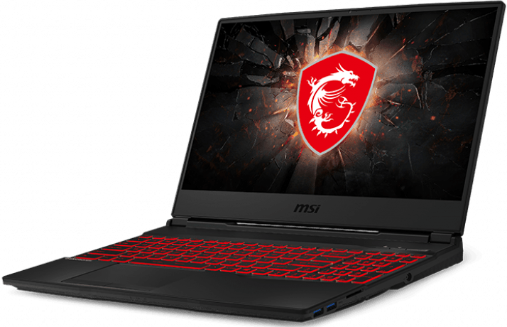 Ноутбук MSI GL65 (10SCXR-022) Leopard