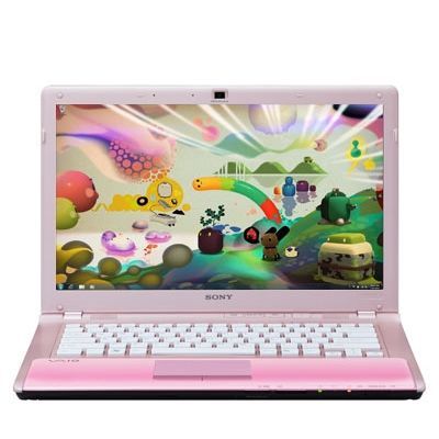Sony VAIO VPC-CW2S1R/P
