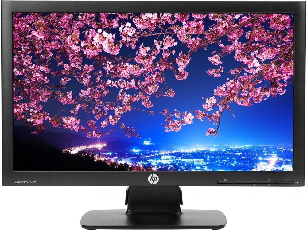 Монитор HP 20" P202 (K7X27AA)