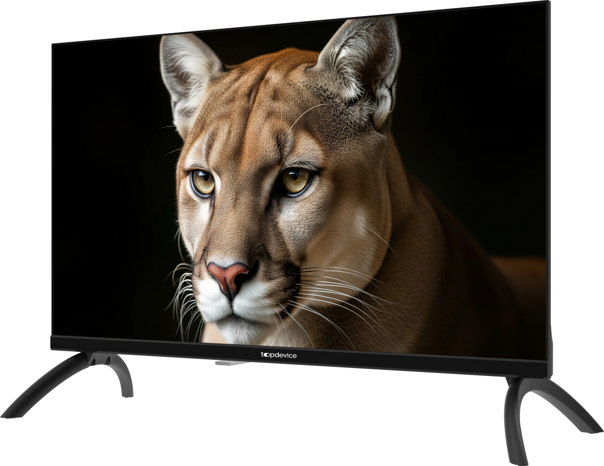 ЖК телевизор TopDevice 24" TDWC24BH1000I Black