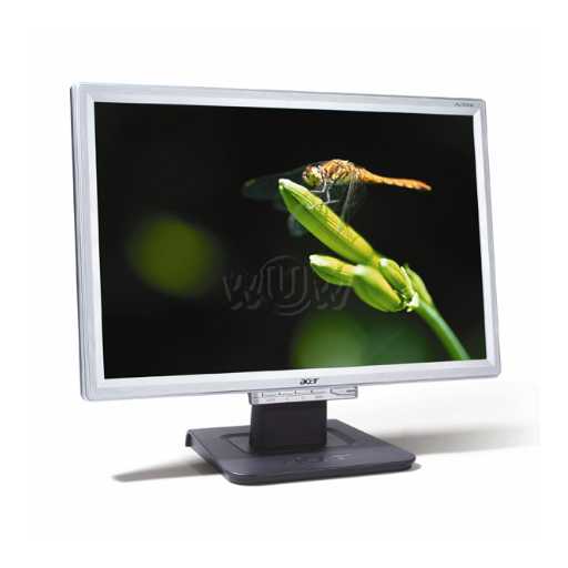 Acer 19" AL1916WD