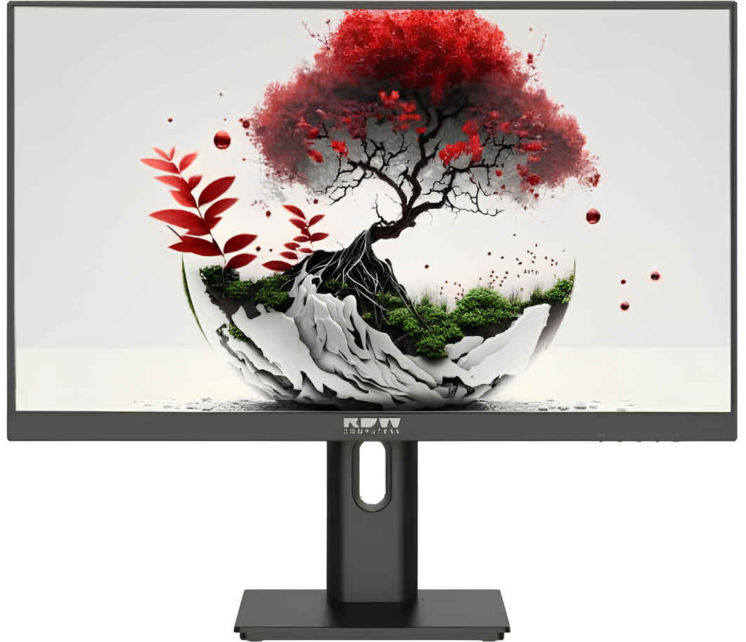 Монитор RDW Computers 24" 2401K (F08В3100V2A1)