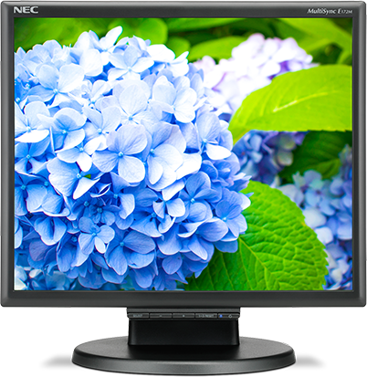 Монитор NEC 17" E172M Black