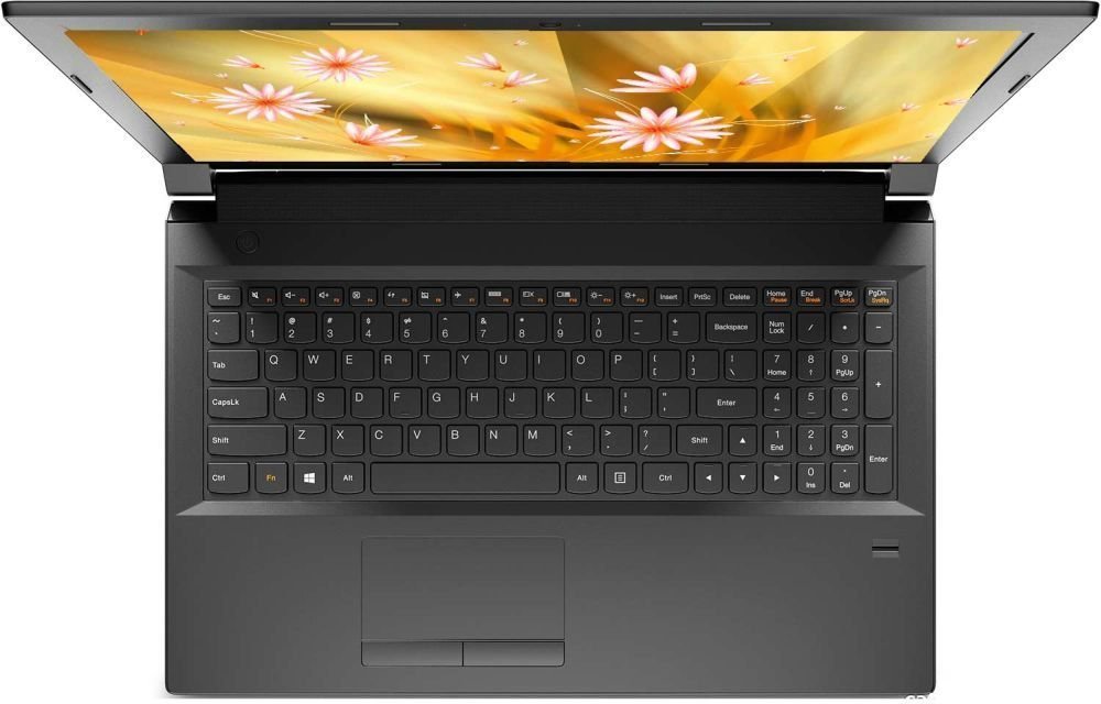 Ноутбук Lenovo IdeaPad B5030 (59-430203)