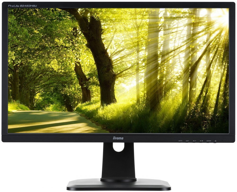Монитор Iiyama 24" ProLite B2483HSU-B1DP