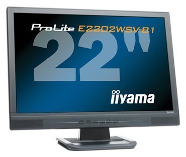 Iiyama 22" ProLite E2202WSV-B Black