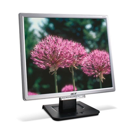Acer 19" AL1916Ns
