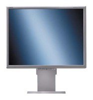 NEC 21.3" MultiSync LCD2170NX