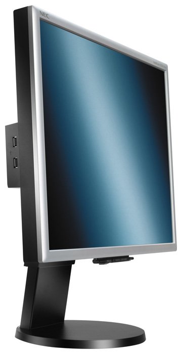 NEC 21.3" MultiSync LCD2170NX
