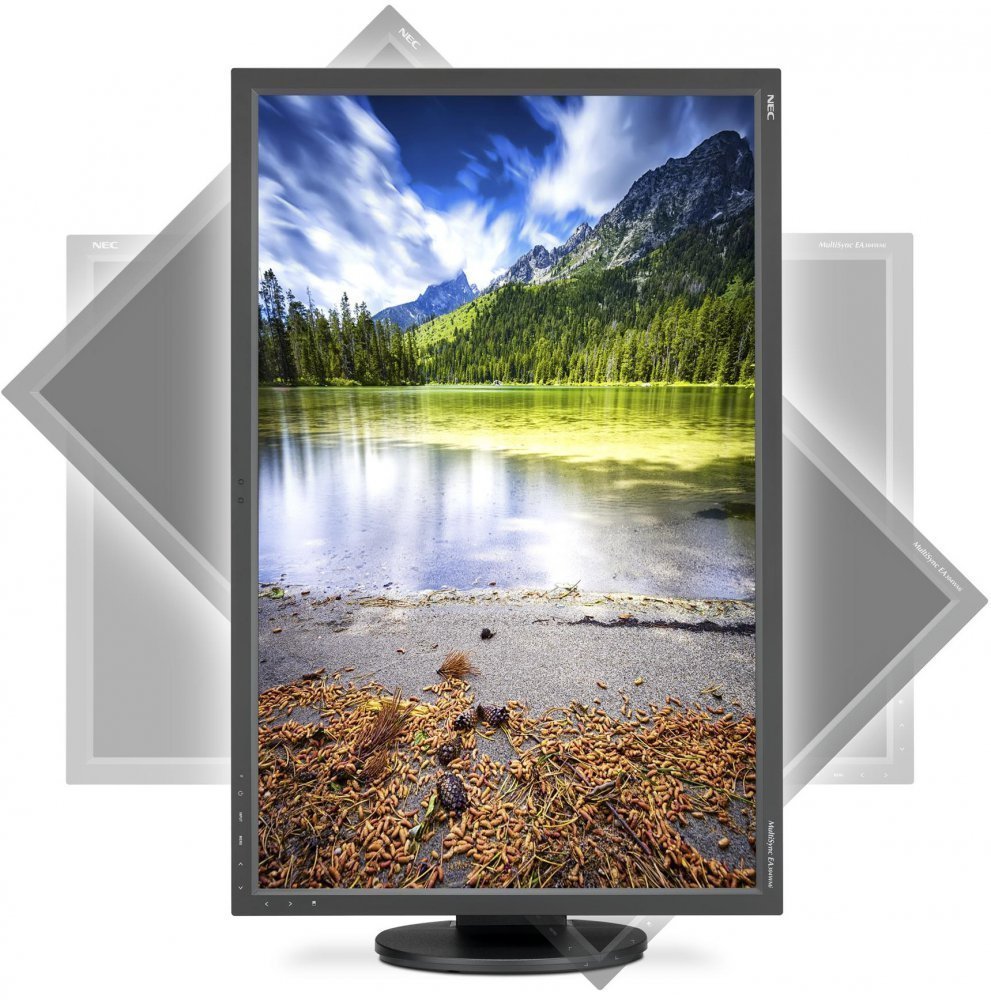 Монитор NEC 30" MultiSync EA304WMI Black