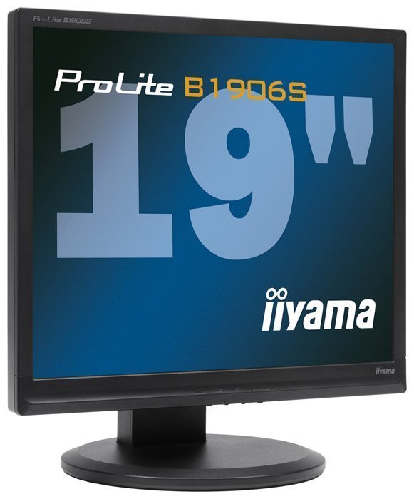 Монитор Iiyama 19" ProLite B1906S-B1