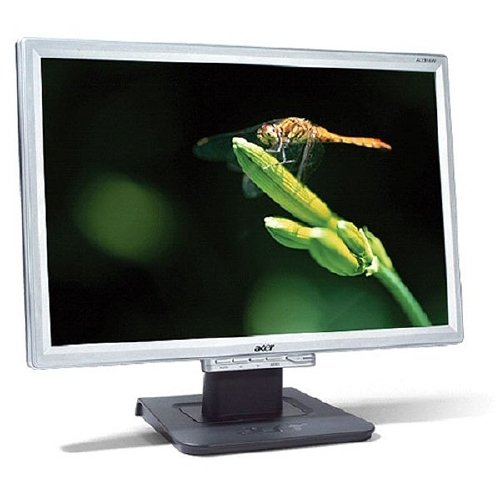 Acer 19"  AL1916WDs