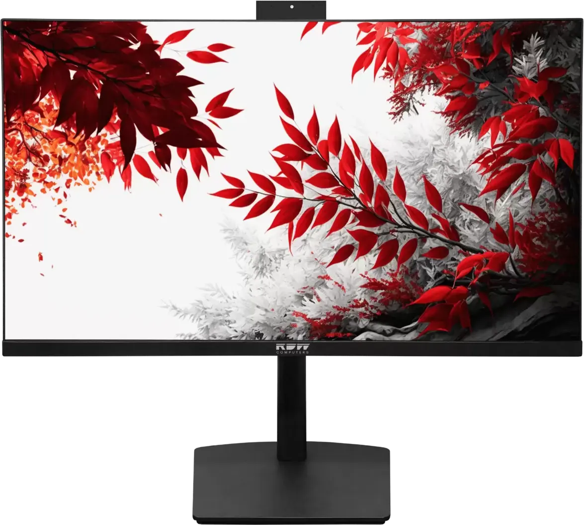 Монитор RDW Computers 24" 2402K (F02В3100V2A1)