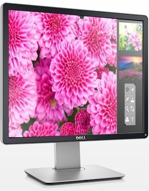 Монитор Dell 19" P1914S Dark Grey