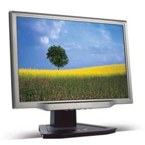 Acer 19" AL1923Watdr