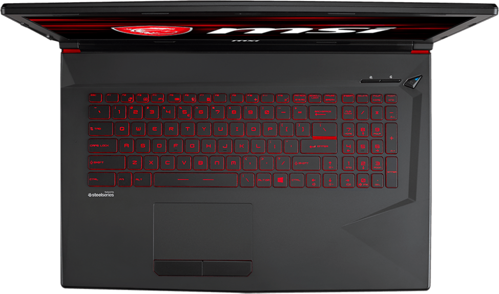 Ноутбук MSI GL73 (8RC-250)