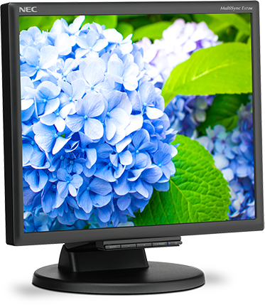 Монитор NEC 17" E172M Black