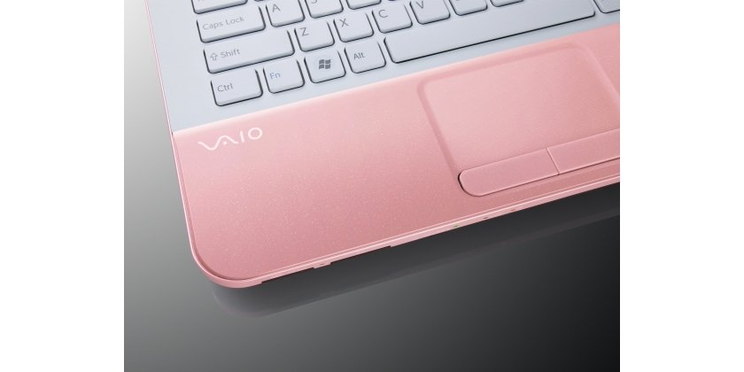 Sony VAIO VPC-EA4M1R/PI